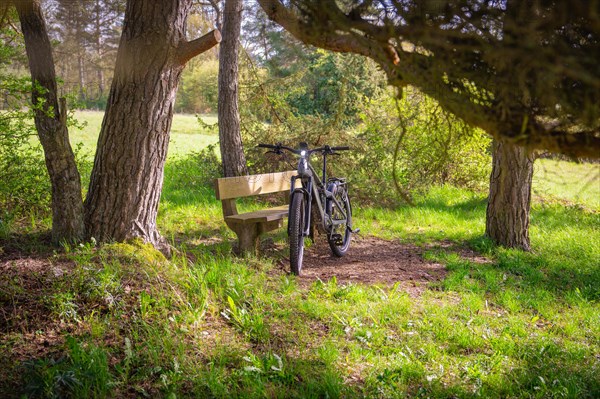 A mountain bike leaning near a bench in a peaceful forest, spring, e-bike forest bike, Gechingen, Black Forest, Germany, Europe
