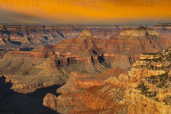 View from Cape Royal at sunrise, North Rim, Grand Canyon National Park, Arizona, United States, USA, Grand Canyon, Arizona, USA, North America