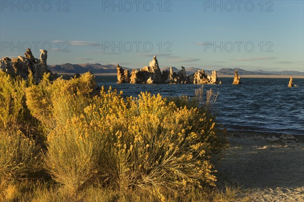 Tufa formations at Mono Lake, Mono Lake Tufa State Reserve, California, USA, Mono Lake Tufa State Reserve, California, USA, North America