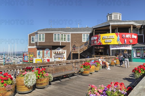 Pier 39, Fisherman's Wharf, San Francisco, California, USA, San Francisco, California, USA, North America