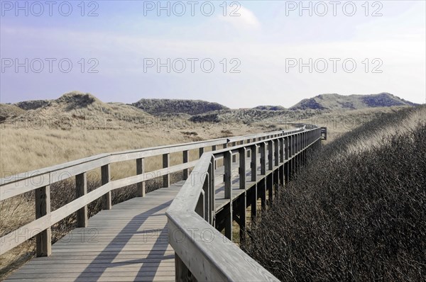 Sylt, North Frisian Island, Schleswig Holstein, Wooden walkway leads through sand dunes under a cloudy sky, Sylt, North Frisian Island, Schleswig Holstein, Germany, Europe