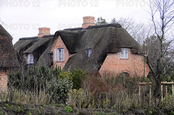 Sylt, North Frisian Island, Schleswig Holstein, Traditional houses with thatched roofs and brick facades surrounded by hedges, Sylt, North Frisian Island, Schleswig Holstein, Germany, Europe