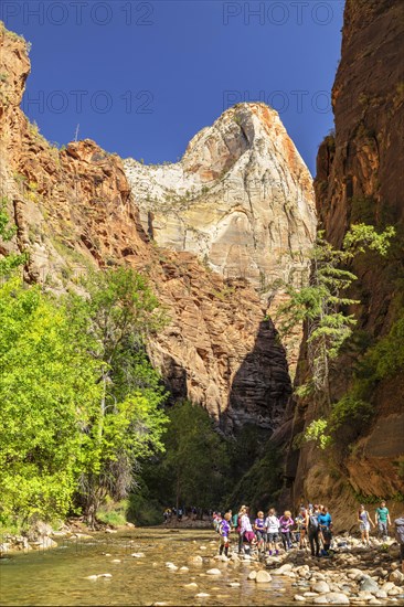 Hikers at the entrance to the Narrows, Narrows of the Virgin River, Zion National Park, Colorado Plateau, Utah, USA, Zion National Park, Utah, USA, North America