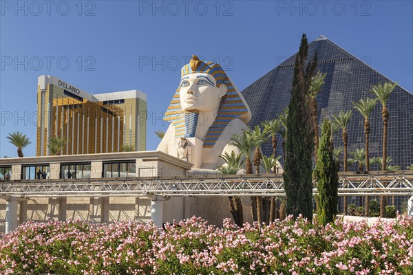 Hotel Delano and Sphinx at the entrance of the Luxor Hotel and Casino, Las Vegas, Nevada, USA, Las Vegas, Nevada, USA, North America
