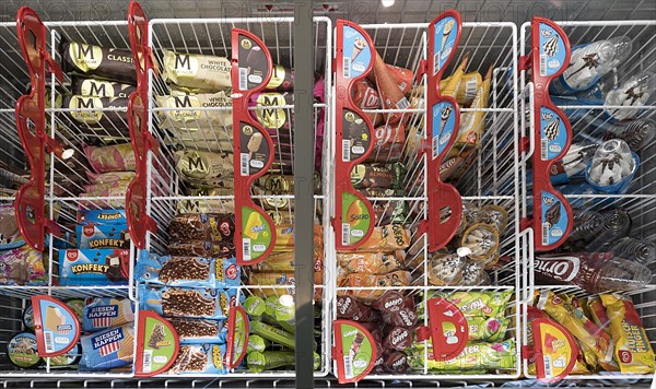 Freezer cabinet with various flavours of ice cream, Mecklenburg-Vorpommern, Germany, Europe