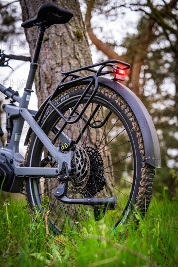 Detailed view of the rear part of an e-bike with focus on the rear light and the tyre, spring, e-bike forest bike, Gechingen, Black Forest, Germany, Europe