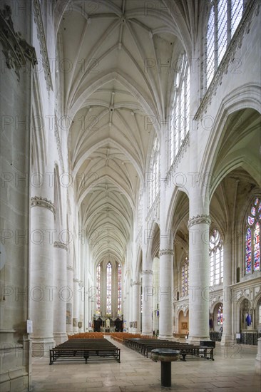 Basilica Basilique Saint-Nicolas-de-Port, Departement Meurthe-et-Moselle, Lorraine, Grand Est region, France, Europe