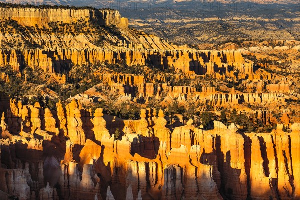 Bryce Amphitheatre at sunset, Bryce Canyon National Park, Colorado Plateau, Utah, United States, USA, Bryce Canyon, Utah, USA, North America