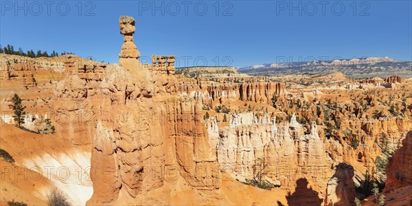 Thor's Hammer, Bryce Canyon National Park, Utah, USA, Bryce Canyon, Utah, USA, North America