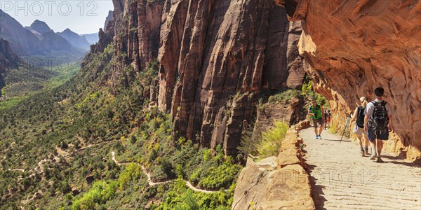 Hikers on the Angels Landing Trail, Zion National Park, Colorado Plateau, Utah, USA, Zion National Park, Utah, USA, North America
