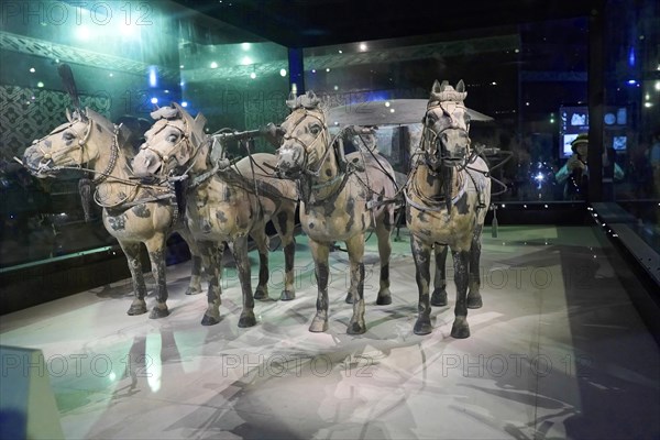 Terracotta horse and cart, Mausoleum of Qin Shihuangdi, Exhibition Hall, High Chariot, Xian, Shaanxi, China, Asia, Four terracotta horses in front of an ancient chariot, presented in a museum, Xian, Shaanxi Province, China, Asia
