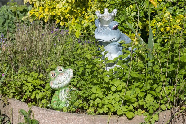 Garden decoration, frogs, frog king, Baden-Wuerttemberg, Germany, Europe