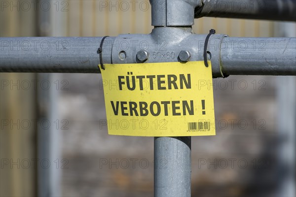 Information board on a railing, FUeTTERN VERBOTEN !, barrier fence, Baden, Wuerttemberg, Germany, Europe