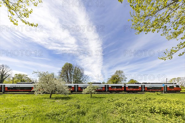 Siemens Desiro ML local train, Vorarlberg OeBB local transport fleet travelling in the border triangle, here near Lindau on Lake Constance, Bavaria, Germany, Europe