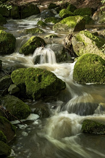 Mountain stream in the forest with mossy basalt rocks, blocks of basalt in the stream bed, Tertiary volcano, flowing water, motion blur, Krummbach, Vogelsberg Volcanic Region nature park Park, Nidda, Wetterau, Hesse, Germany, Europe