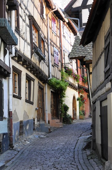 Eguisheim, Alsace, France, Europe, A picturesque street with traditional half-timbered houses and cobblestones, Europe