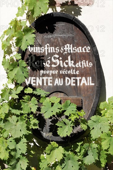 Kaysersberg, Alsace Wine Route, Alsace, Departement Haut-Rhin, France, Europe, A wooden sign with lettering surrounded by vine leaves on a white wall, Europe