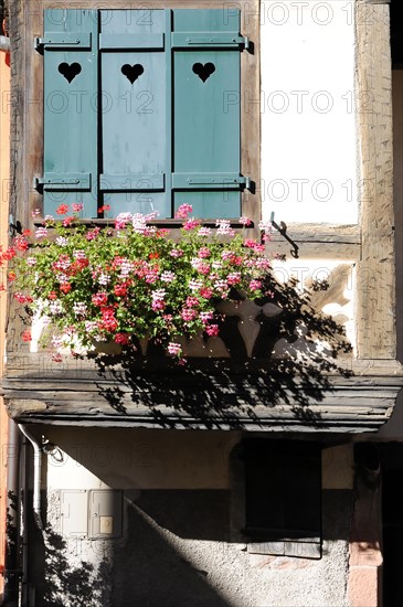 Kaysersberg, Alsace Wine Route, Alsace, Departement Haut-Rhin, France, Europe, Window with wooden shutters and flower boxes with heart motifs on a half-timbered facade, Europe