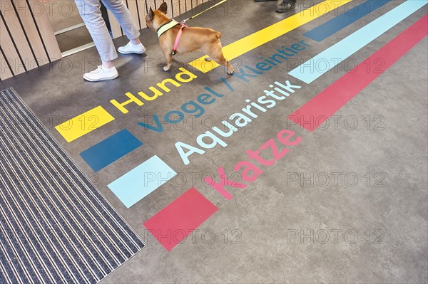 Floor signage for orientation in the pet supplies retail store REWE Kai Prochazka oHG I Papenreye 4 I 22453 Hamburg-Niendorf I Copyright: Carsten Milbret I, Hamburg, Hamburg, Germany, Europe