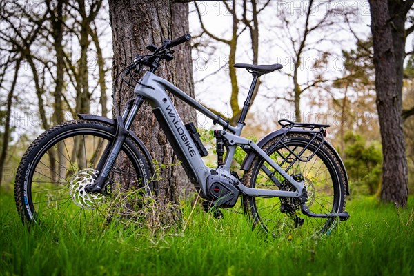 An e-bike leaning against a tree in a spring-like forest, spring, e-bike forest bike, Gechingen, Black Forest, Germany, Europe