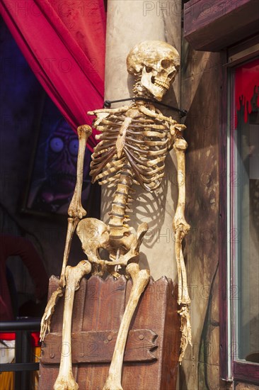 Skeleton with skull on a ghost train, decoration, figure at the Bremen Easter Fair, Buergerweide, Bremen, Germany, Europe