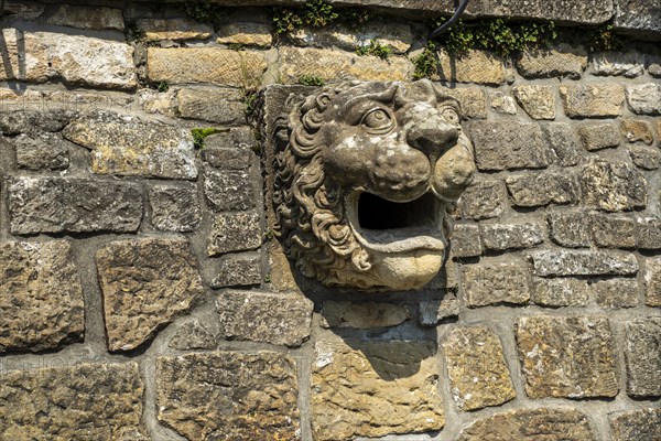 Lion's head, architectural details of Pillnitz Castle on the edge of the Elbe cycle path in Pillnitz, Dresden, Saxony, Germany, Europe