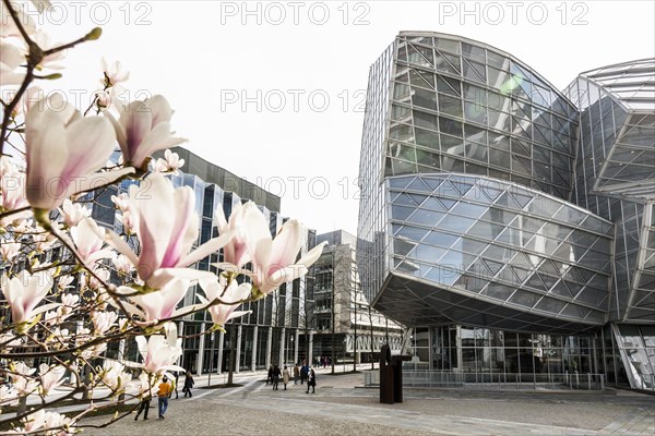 Modern architecture, office building, architect Frank O. Gehry, Novartis Campus, Basel, Canton of Basel-Stadt, Switzerland, Europe