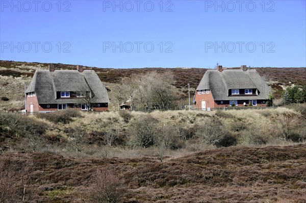 Houses List, Sylt, North Frisian Island, Traditional thatched houses in a quiet heathland, Sylt, Schleswig-Holstein, Germany, Europe