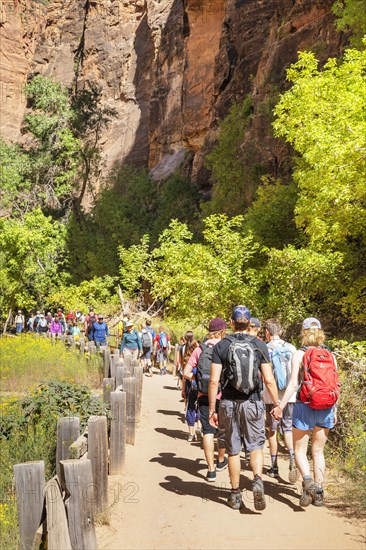 Hikers in Zion National Park, Colorado Plateau, Utah, USA, Zion National Park, Utah, USA, North America