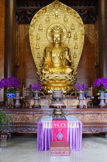 Chongqing, Chongqing Province, China, Asia, Golden Buddha sits in temple surrounded by purple flowers and wood carvings, Asia