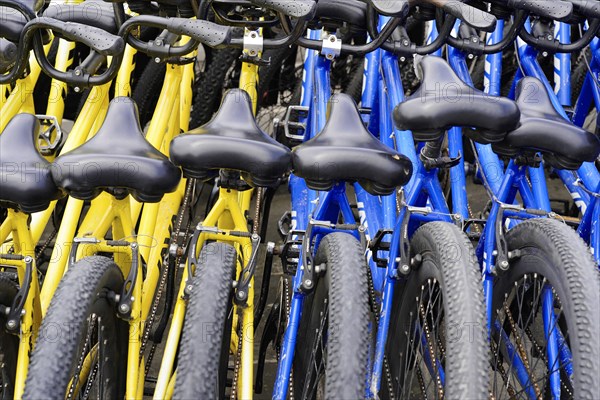 Rental bicycles, Xian, Shaanxi, China, Asia, Rows of yellow and blue bicycles at a public bicycle rental station, Xian, Shaanxi Province, China, Asia