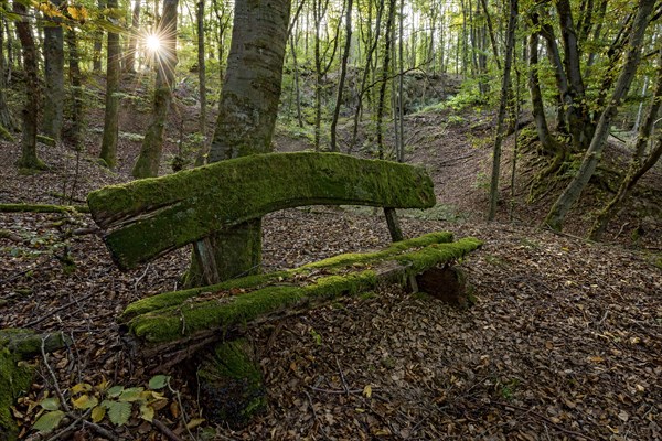 Weathered, rotten and mossy bench made of rough wooden planks, autumn leaves, sun star, beech forest, Raumertswald, volcano, Vogelsberg Volcano Region nature park Park, rest area, Nidda, Wetterau, Hesse, Germany, Europe