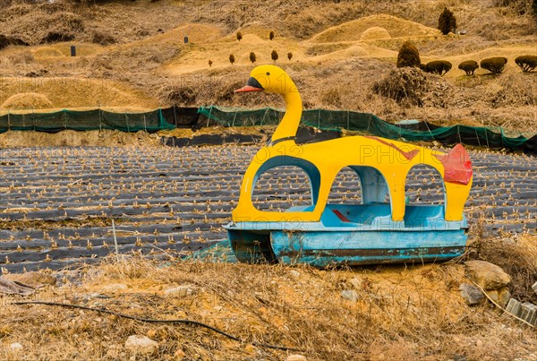 Abandoned yellow and blue duck boat on dry land next to field with grave mounds covered with brown grass in background in South Korea