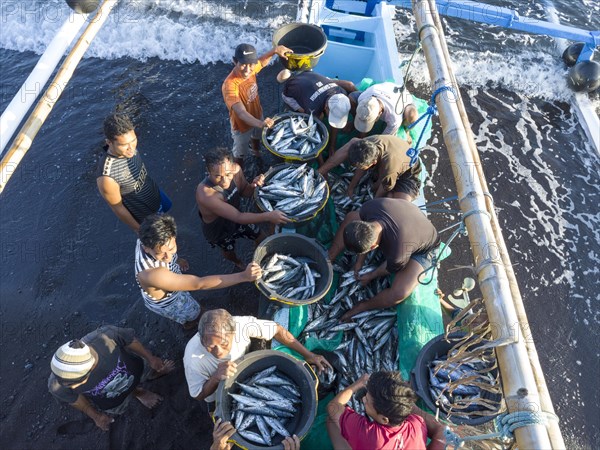 Fishermen unload their catch from their outrigger boat in the morning. Amed, Karangasem, Bali, Indonesia, Asia