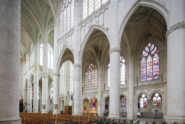 Basilica Basilique Saint-Nicolas-de-Port, Departement Meurthe-et-Moselle, Lorraine, Grand Est region, France, Europe