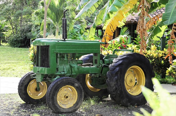 Ometepe Island, Nicaragua, A classic green tractor parked next to tropical plants, Central America, Central America