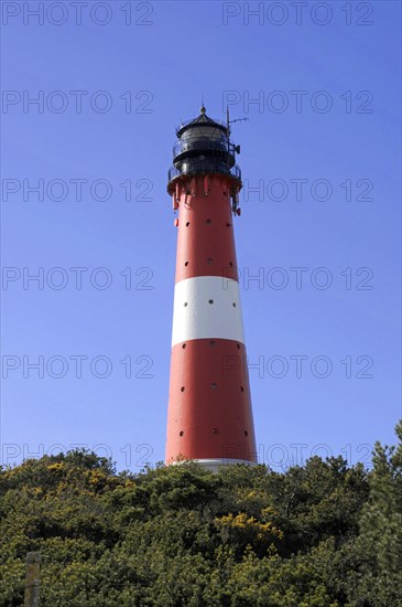 Lighthouse, red and white striped, Hoernum, North Sea island Sylt, North Frisia, red and white lighthouse rises above trees under a blue sky, Sylt, Schleswig-Holstein, Germany, Europe