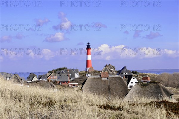 Lighthouse, Hoernum, Sylt, North Frisian Island, lighthouse rises behind a settlement with thatched houses, Sylt, North Frisian Island, Schleswig Holstein, Germany, Europe