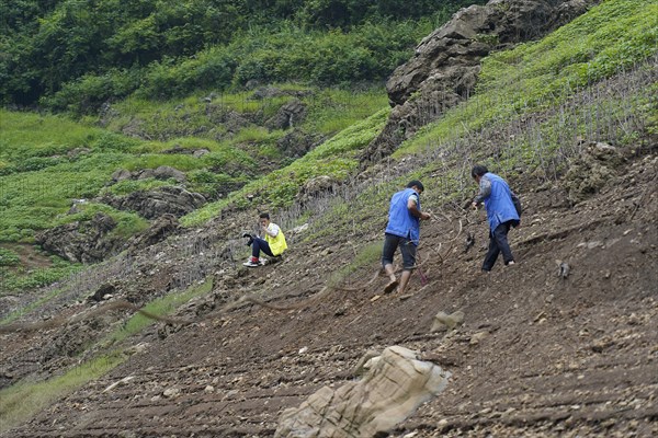 Yichang, China, Asia, Several workers carry out fortification work on an eroded slope, Hubei Province, Asia
