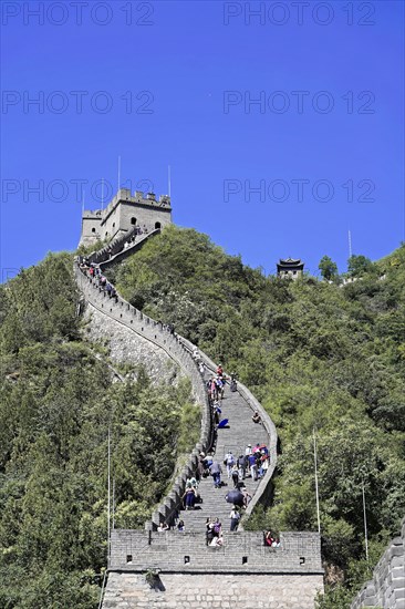 Great Wall of China, near Mutianyu, Beijing, China, Asia, The Great Wall of China stretches across a green landscape with many visitors, UNESCO World Heritage Site, Asia