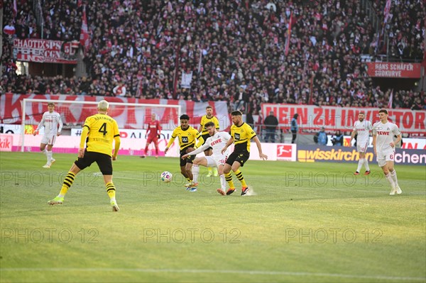 1st Bundesliga, 1.FC Koeln, BVB Borussia Dortmund on 20.01.2024 at the RheinEnergieStadion in Cologne Germany .Photo: Alexander Franz (DFL/DFB REGULATIONS PROHIBIT ANY USE OF PHOTOGRAPHS AS IMAGE SEQUENCES AND/OR QUASI-VIDEO)