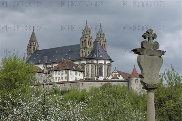 View of the Comburg, fruit blossom, fruit tree, spring, April, Way of St James, Benedictine monastery, monastery, Benedictine order, castle, Schwaebisch Hall, Kocher valley, Kocher, Hohenlohe, Heilbronn-Franken, Baden-Wuerttemberg, Germany, Europe