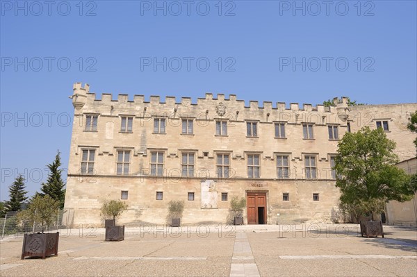 Museum 'Musee du Petit Palais', Avignon, Vaucluse, Provence-Alpes-Cote d'Azur, South of France, France, Europe