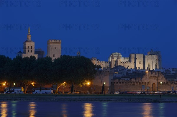 Papal Palace and Notre-Dame des Doms Cathedral at night, Avignon, Vaucluse, Provence-Alpes-Cote d'Azur, South of France, France, Europe