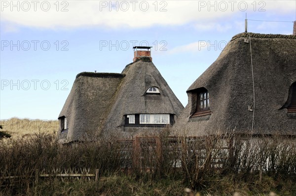 Sylt, Schleswig-Holstein, A traditional thatched house behind dense undergrowth under a blue sky, Sylt, Schleswig-Holstein, Germany, Europe