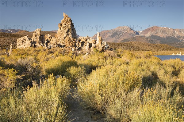 Tufa formations at Mono Lake, Mono Lake Tufa State Reserve, California, USA, Mono Lake Tufa State Reserve, California, USA, North America