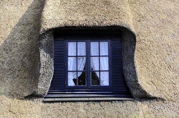Window, House in Keitum, Sylt, North Frisian Island, Plain window on a house with thatched roof and red brickwork, Sylt, North Frisian Island, Schleswig Holstein, Germany, Europe