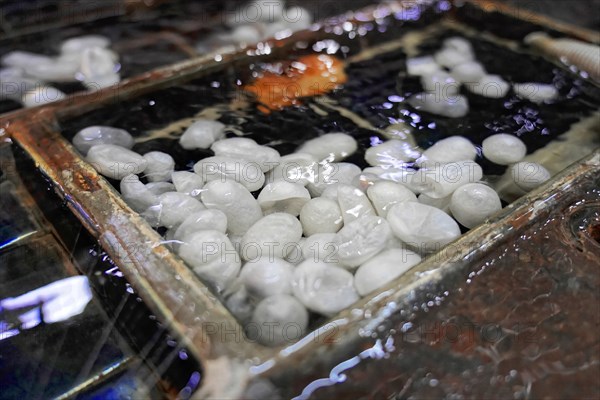 Silk factory Shanghai, White silk cocoons floating in a water basin in the silk production, Shanghai, China, Asia