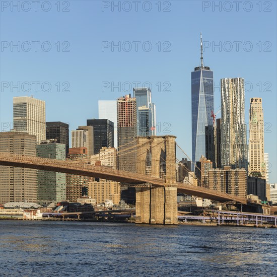 Skyline of downtown Manhattan with One World Trade Centre and Brooklyn Bridge, New York City, New York, USA, New York City, New York, USA, North America