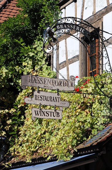 Kaysersberg, Alsace Wine Route, Alsace, Departement Haut-Rhin, France, Europe, Decorated sign of a restaurant with grapevines on a half-timbered house, Europe